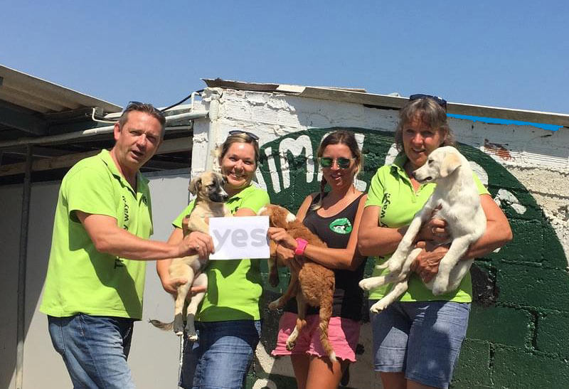 Yes rent a car team bij animalcare samos met een donatie